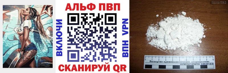 Альфа ПВП СК КРИС  Тотьма 