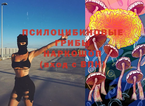 спиды Апатиты